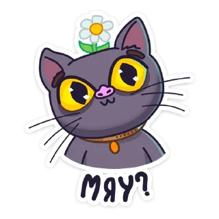 Sticker from Кот Сима :: @stickroom