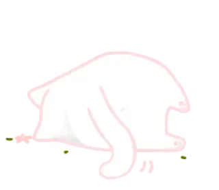 🥲 emoji 🐾 : киця ➛ @wexsavi ° ☆ Telegram sticker 8 of 24