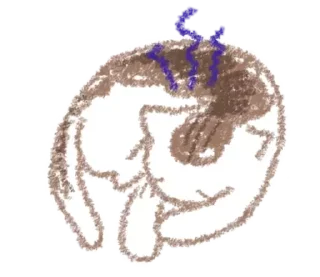🤎 emoji . . MewMew - @wexsavi 🐾 Telegram sticker 21 of 24