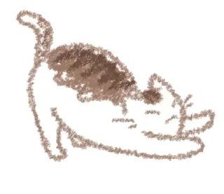 🥱 emoji . . MewMew - @wexsavi 🐾 Telegram sticker 8 of 24