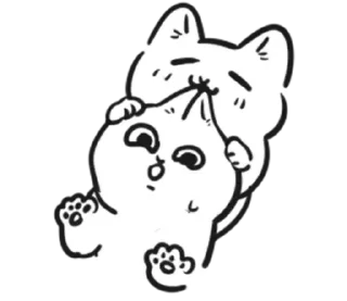Sticker from чб cat ` | ➩ tg: @wexsavi 🐾