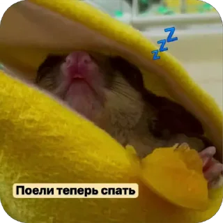 Sticker from Эми
