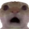 😧 emoji mem • @moomv Telegram sticker 5 of 104