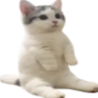 ✨ emoji Under stickers Telegram sticker 22 of 75