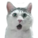 😨 emoji Твои стикеры — @stckrRobot Telegram sticker 8 of 77