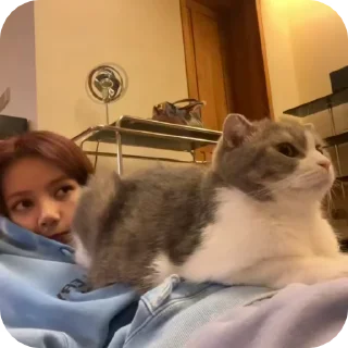 🙇‍♀ emoji LALISA BLACKPINK Telegram sticker 2 of 16