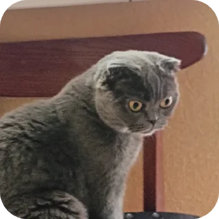 😳 emoji Ну Лена... ( @linxle ) Telegram sticker 24 of 75