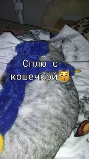 🌟 emoji Стики с хагичем Telegram sticker 24 of 47