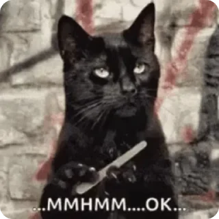 🐱 emoji Админ стикеры Telegram sticker 10 of 11