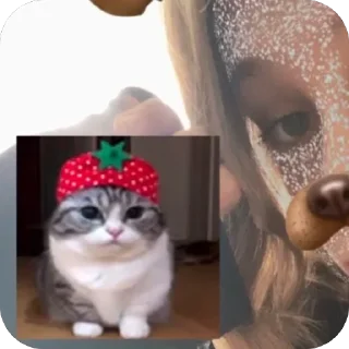 🫥 emoji ем хз Telegram sticker 20 of 56