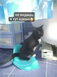 🙄 emoji каришк Telegram sticker 9 of 27