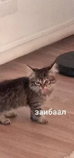🫨 emoji каришк Telegram sticker 24 of 27