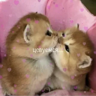 Sticker from KИ$♡NYA