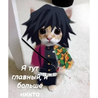 😠 emoji Легенды котов Telegram sticker 24 of 24