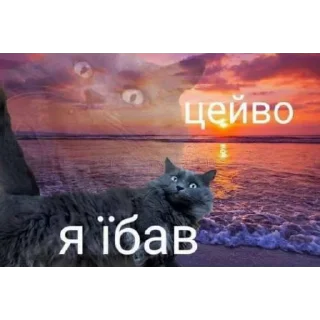 😳 emoji їбануті звірі 1 Telegram sticker 12 of 52