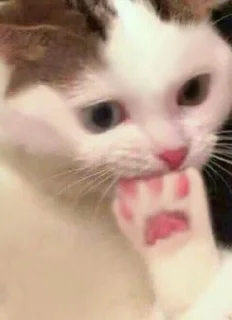 😟 emoji охуенный пэк Telegram sticker 10 of 100