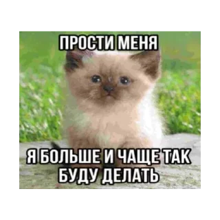 Sticker from Ватафак