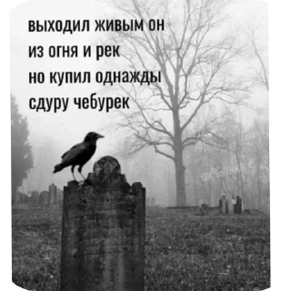 Sticker from Легенды чата