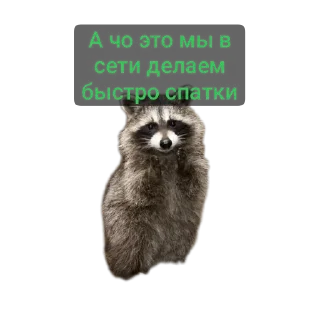 🥰 emoji Наташа и еноты Telegram sticker 15 of 29