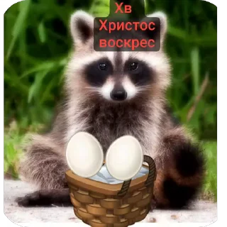 🔥 emoji Наташа и еноты Telegram sticker 19 of 29