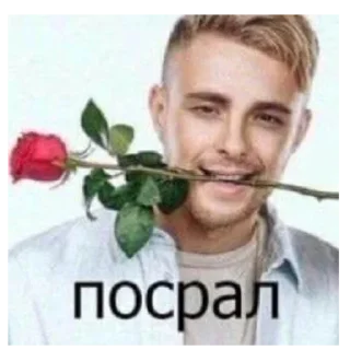 🌹 emoji Ерор вкид Telegram sticker 21 of 23