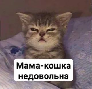 Sticker from гучи мамми на джуси