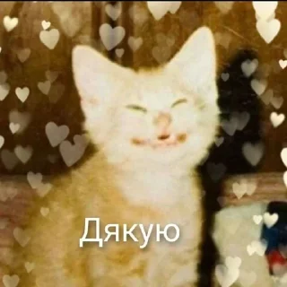 Sticker from Східняцьке бидло