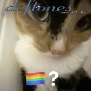 🏳️‍🌈 emoji Літр стікерів Telegram sticker 20 of 43
