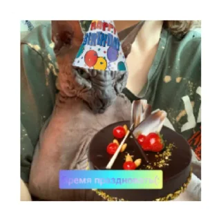🥳 emoji Чуча Telegram sticker 16 of 60