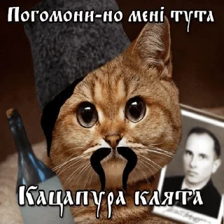 😕 emoji файні меми by @re_dj Telegram sticker 7 of 11