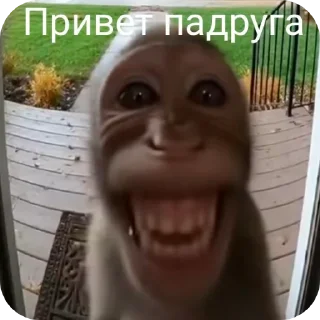 🙂 emoji Привет заебал Telegram sticker 21 of 120