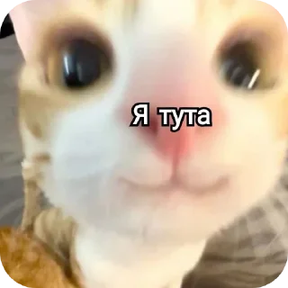 🤲 emoji Привет заебал Telegram sticker 15 of 120