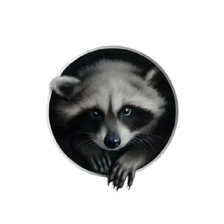Sticker from Пивной Енотик | @BlitzSect