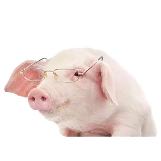 🧐 emoji My Little Pigs Telegram sticker 12 of 30