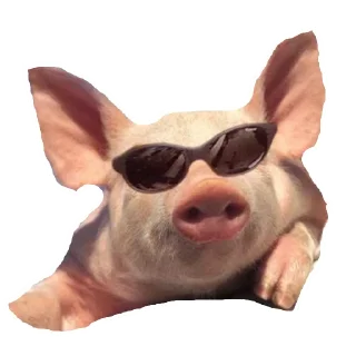 😎 emoji My Little Pigs Telegram sticker 10 of 30