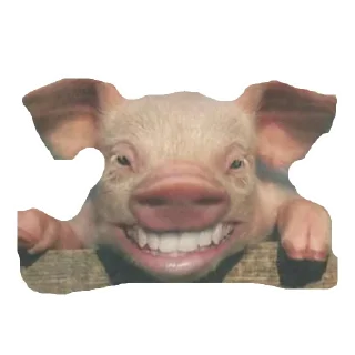 😃 emoji My Little Pigs Telegram sticker 8 of 30