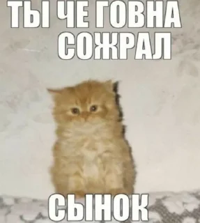 😊 emoji эти стикеры принадлежат @seeltwer Telegram sticker 15 of 65