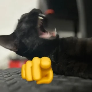 Sticker from cats laugh at you