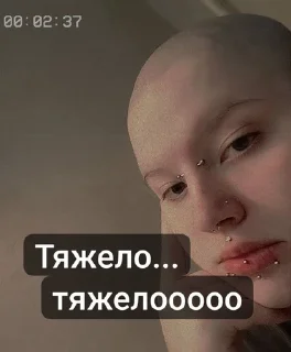 😥 emoji Дай винчик пэж Telegram sticker 14 of 80