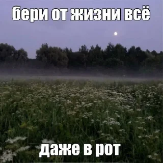 Sticker from да бля пиздец нахуй
