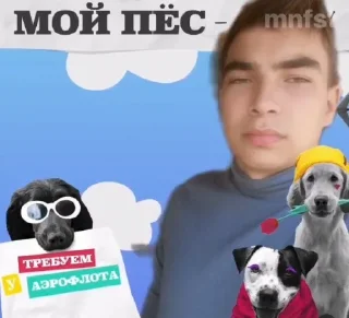😈 emoji я нефор Telegram sticker 5 of 21