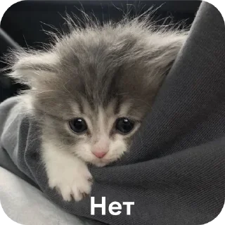 ❌ emoji Для супер важных переговоров Telegram sticker 11 of 24