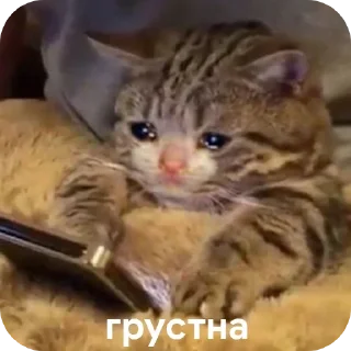 😢 emoji Для супер важных переговоров Telegram sticker 17 of 24