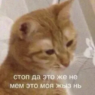 ❤️ emoji Больше стикеров 👉🏻 @stickertg4 Telegram sticker 21 of 89