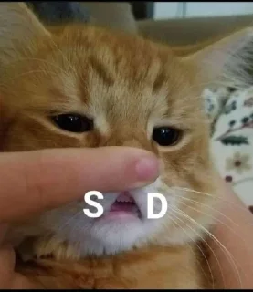 🙁 emoji сочные киски Telegram sticker 20 of 69