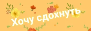 ⚰️ emoji Личное ок да? Telegram sticker 2 of 19
