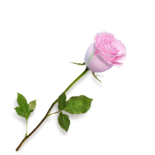 🌷 emoji @graphicdesignerac Telegram sticker 19 of 79