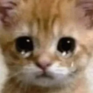 😭 emoji Россия щедрая душа Telegram sticker 18 of 107