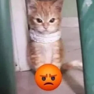 😡 emoji Россия щедрая душа Telegram sticker 6 of 107