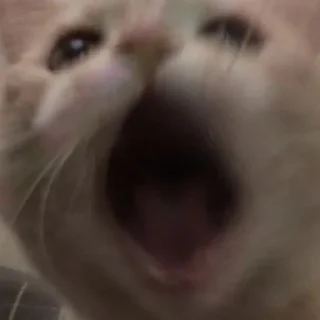 😮 emoji Россия щедрая душа Telegram sticker 13 of 107